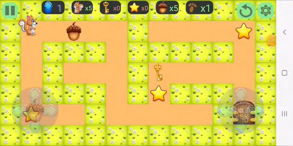 The Squirrel Maze