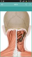 Anamnesis for Medical Students