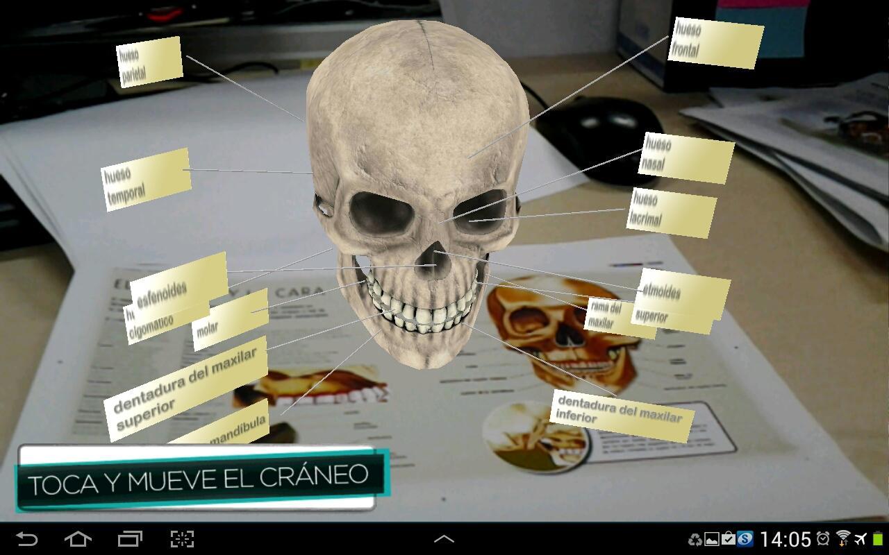 ARcuerpohumano