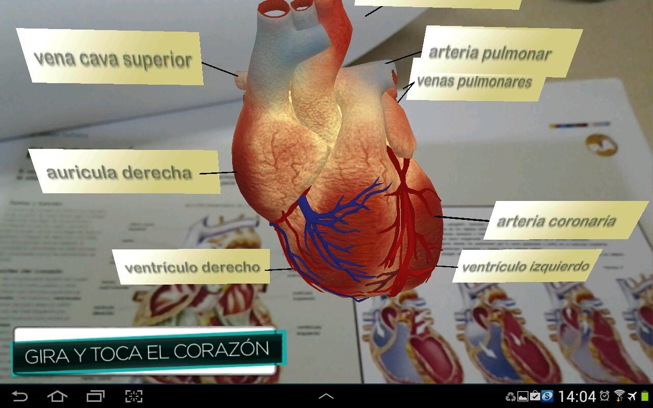 ARcuerpohumano