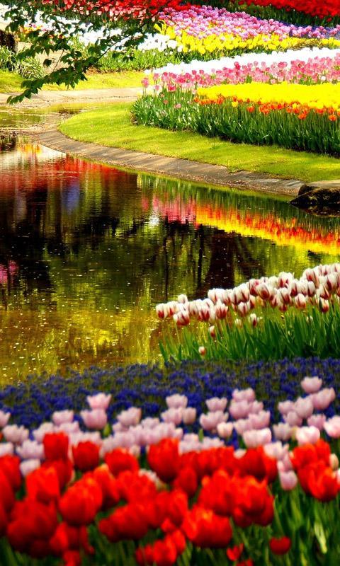 Nature Wallpapers