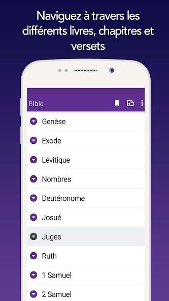 Louis Second French Bible
