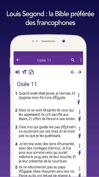 Louis Second French Bible