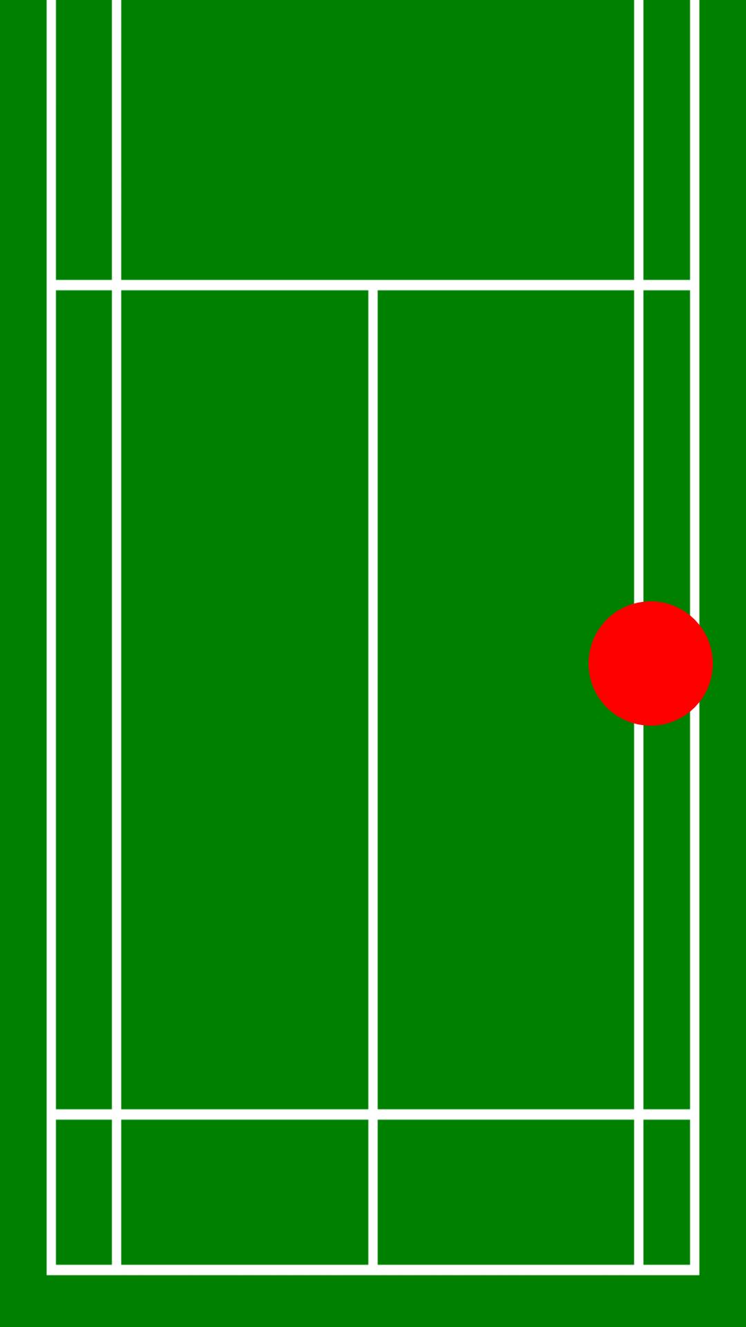 Badminton Training