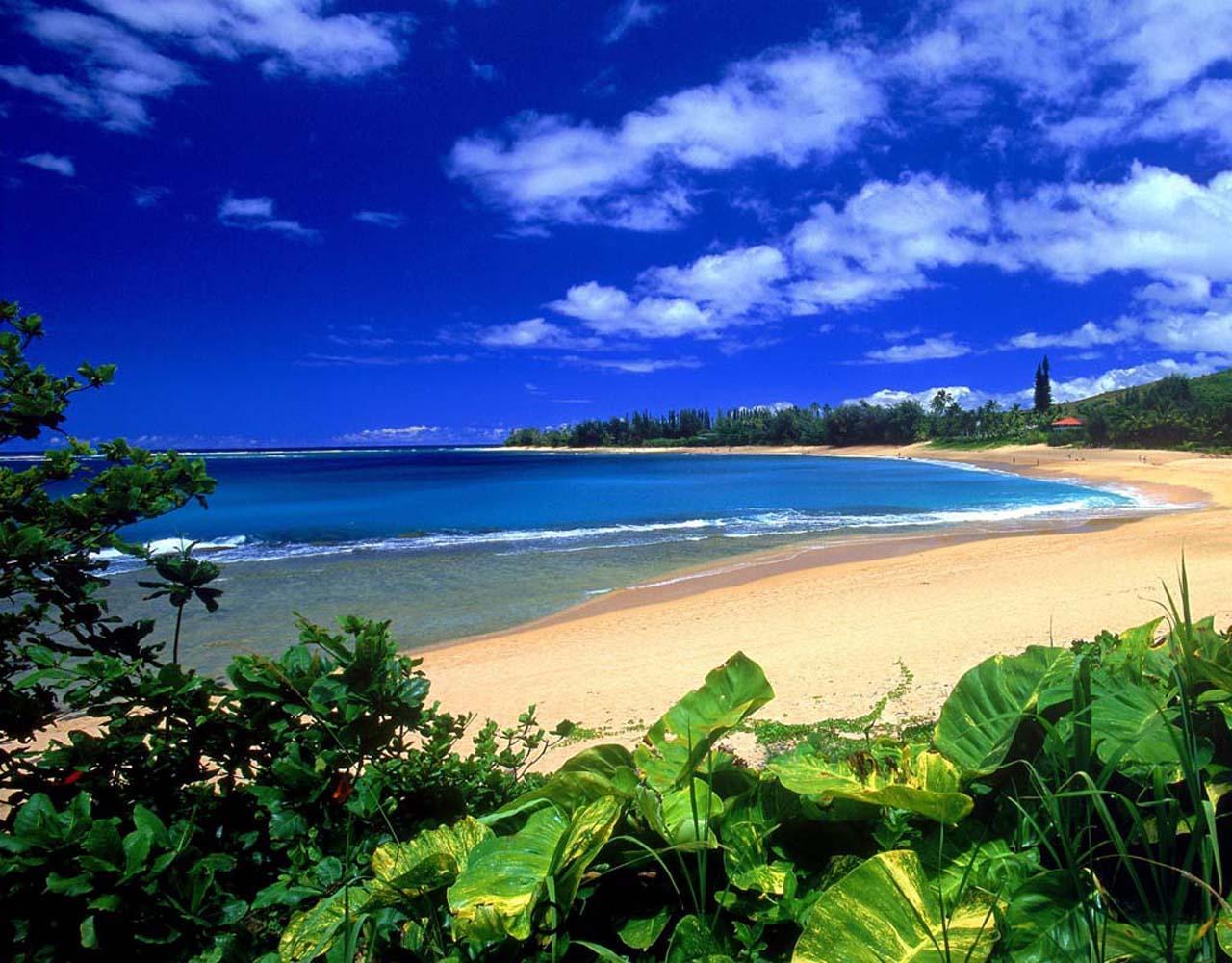 Hawaii Wallpaper