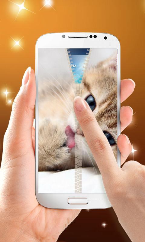 Kitten Zipper Lock
