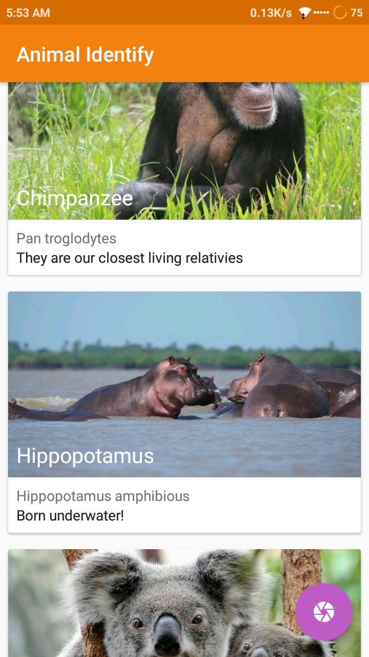 Animal Identify
