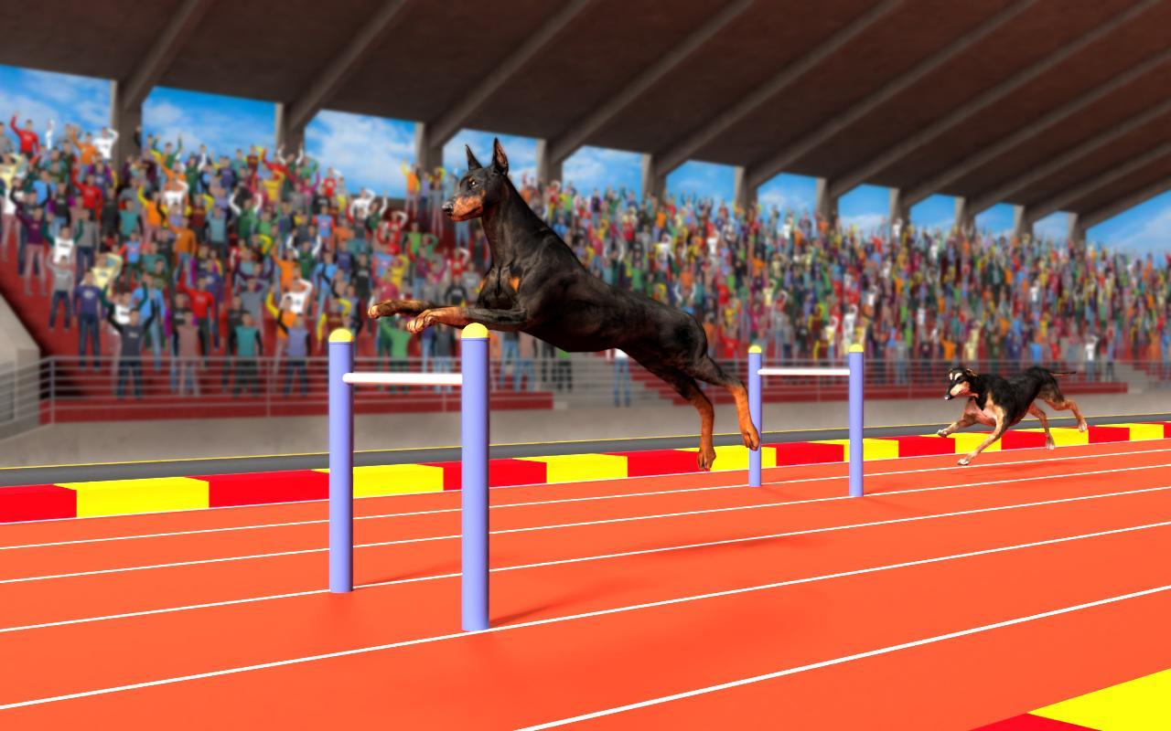 Pet Vet Dog Racing - Dog Run Racing Fever