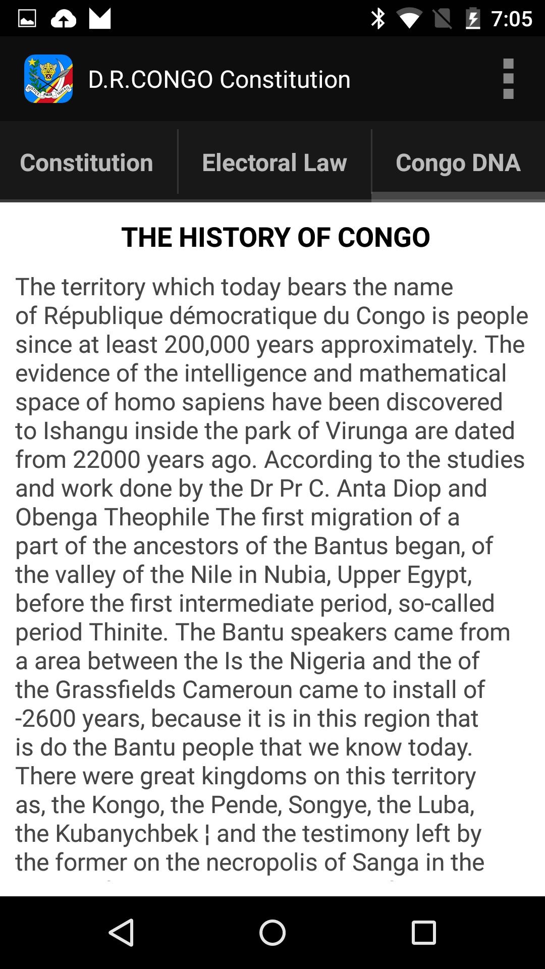Congo Constitution