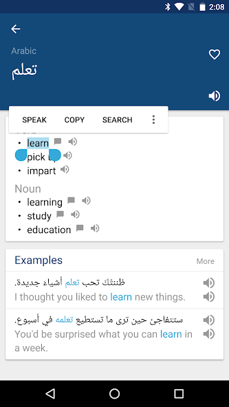Arabic English Dictionary