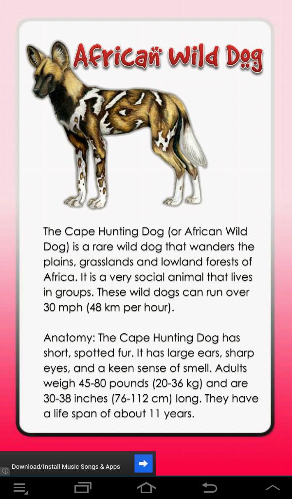 The Complete Dog A-Z