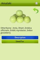 Ayurvedic Plants and Herbs