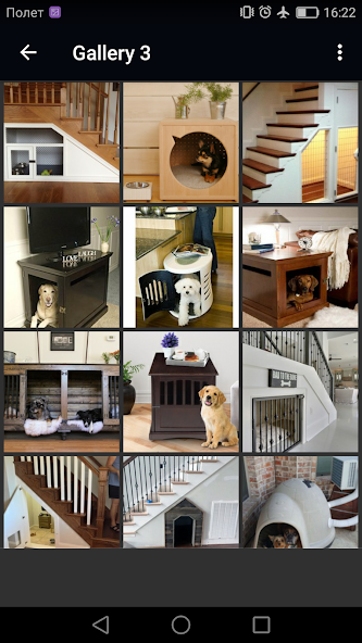 Indoor Dog House