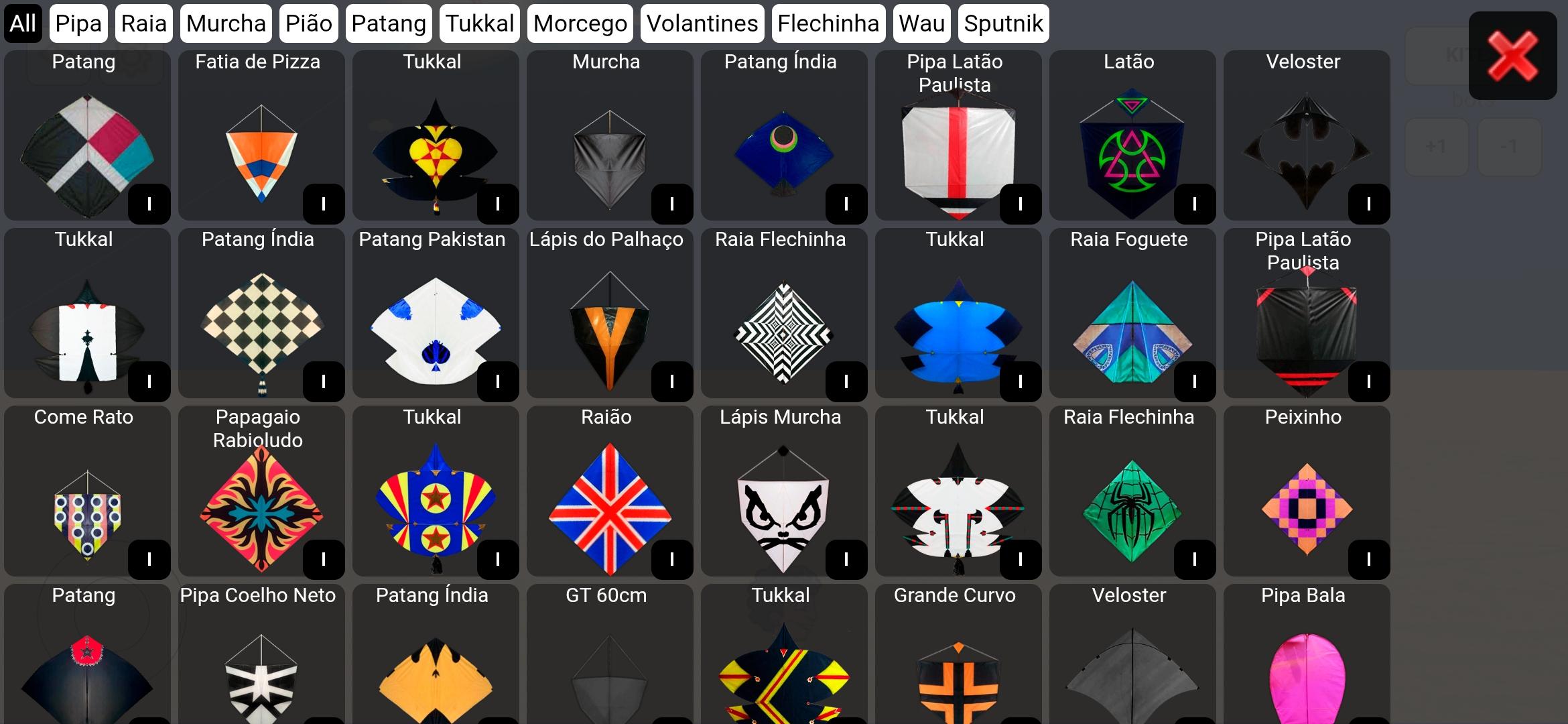 Kite Flying India VS Pakistan