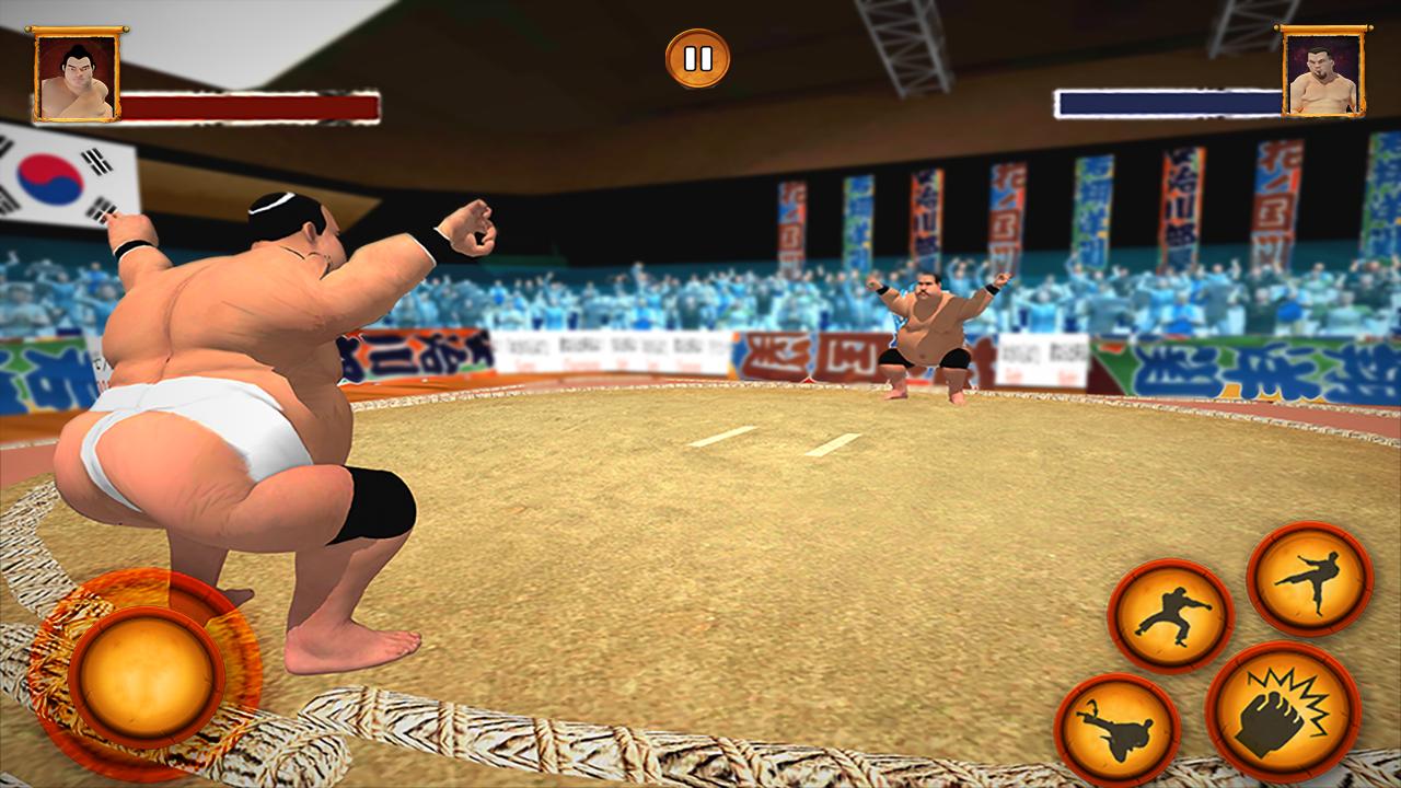 Sumo Wrestling Fighting Game 2019