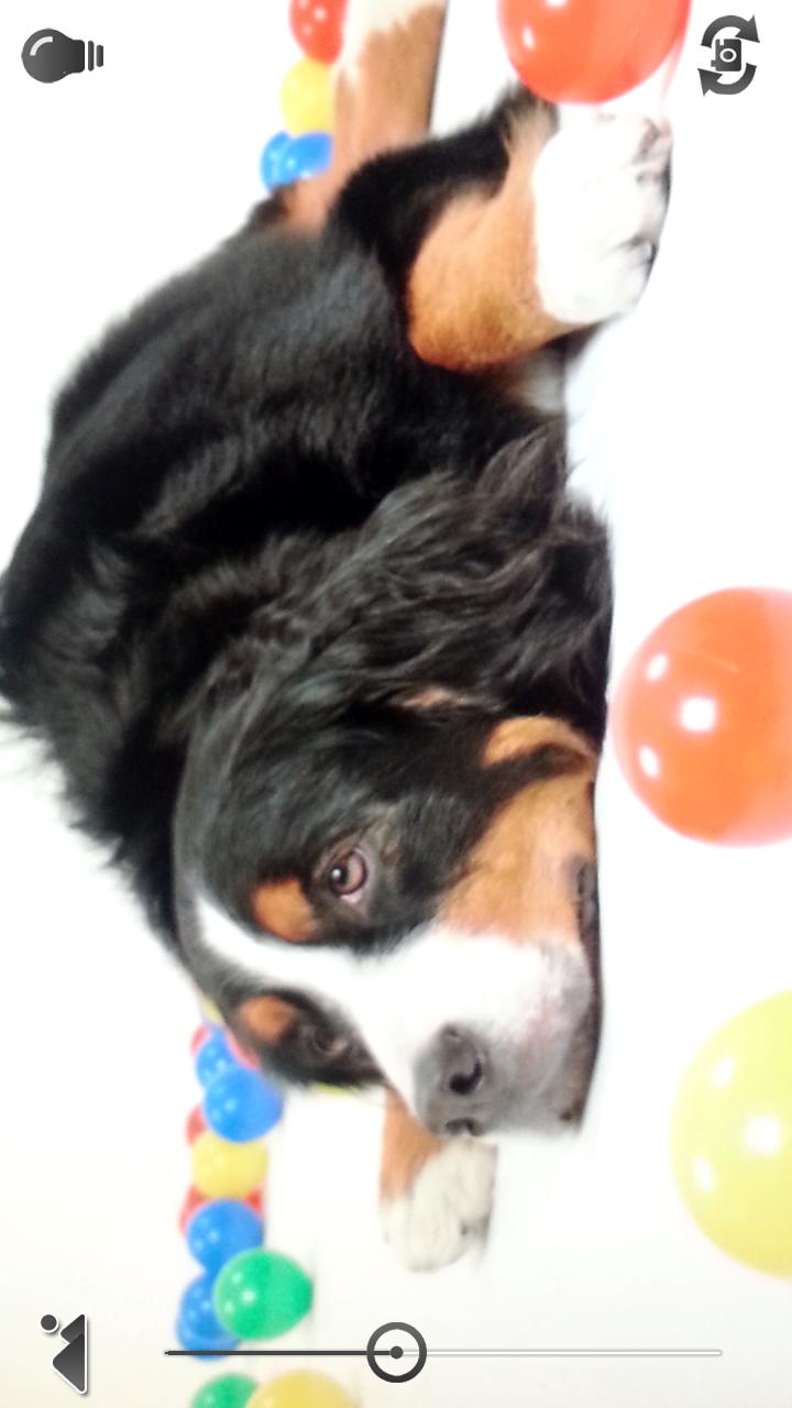 Full Screen Silent Camera