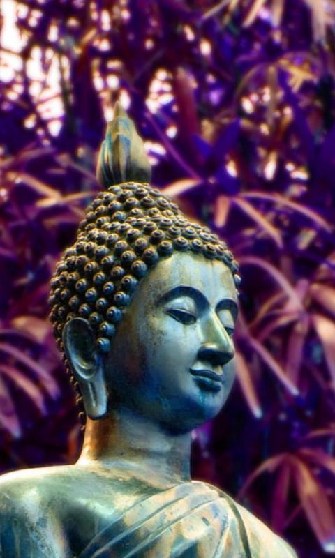 Budda Wallpapers