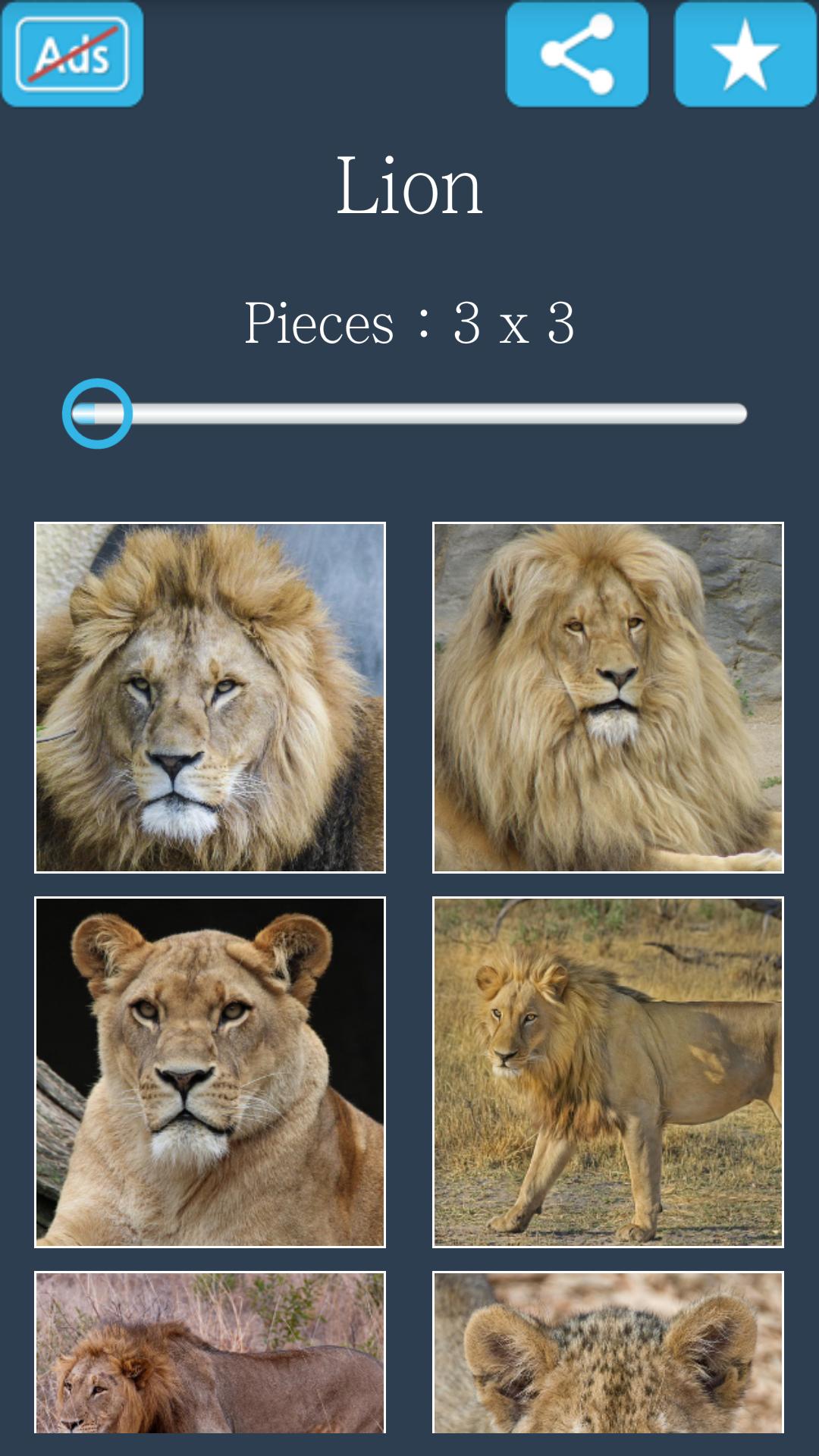 Jigsaw Puzzle: Lion