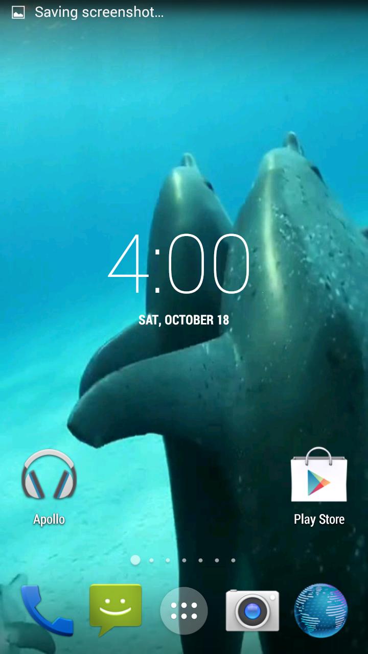 Dolphins HD. Video Wallpaper