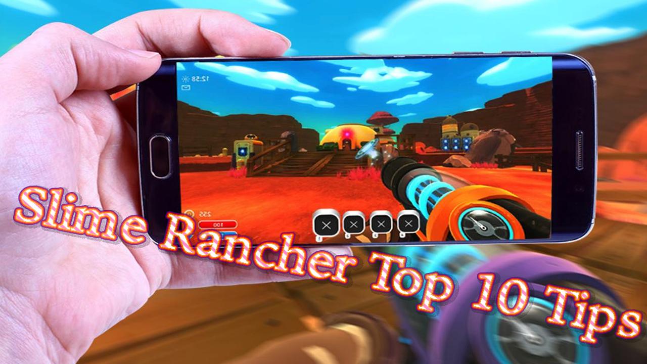 slime rancher Guide and Tips top 10