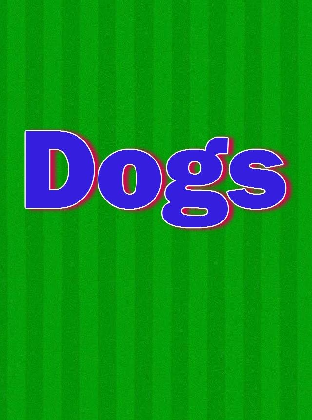 Western Bulldogs Football Club