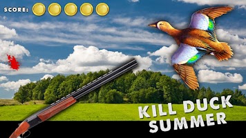 Kill Duck Summer