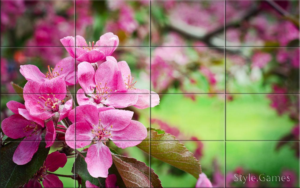 Wonderful Flowers Puzzle