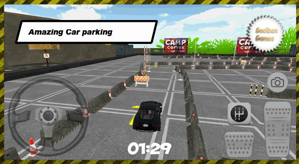 Extreme Luxury Parking