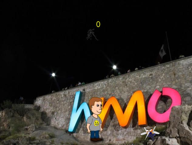 Chikungunya Hermosillo