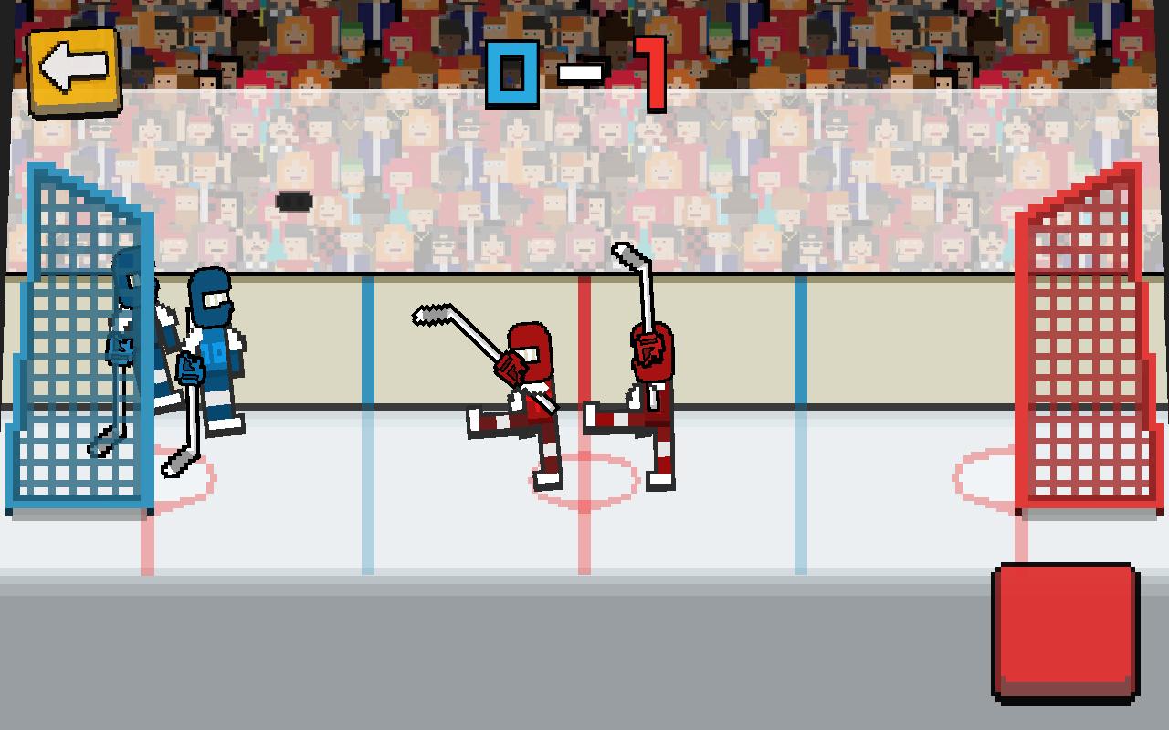 Hockey Physics