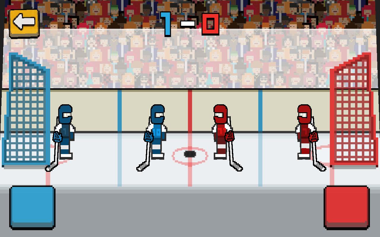 Hockey Physics