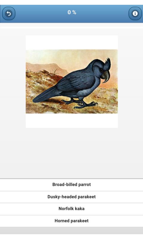 Parrots - quiz