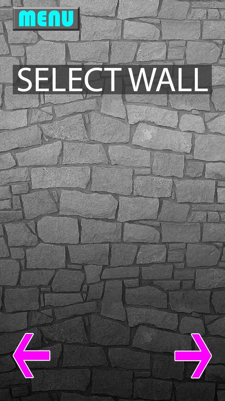 Projector Selfie Simulator