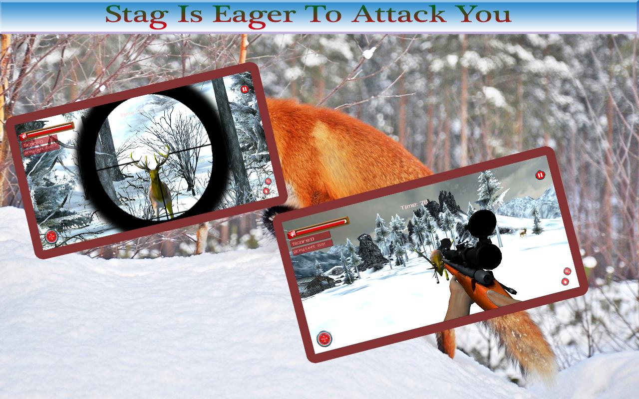 Animals Hunting 2015